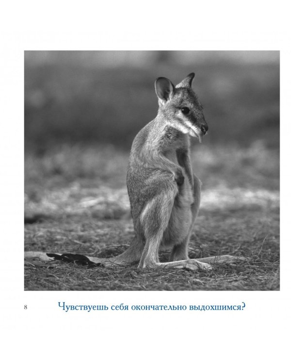 Книга для тех, кто делает слишком много