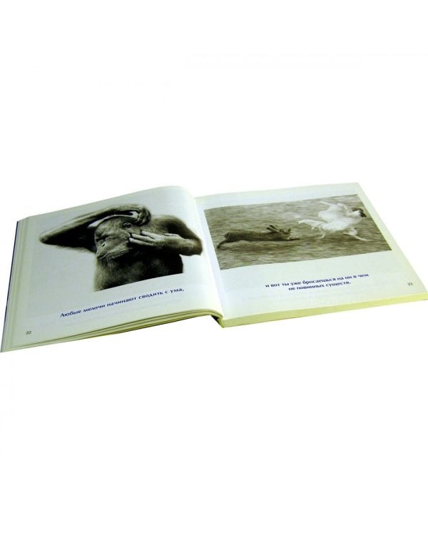 Книга для тех, кто делает слишком много