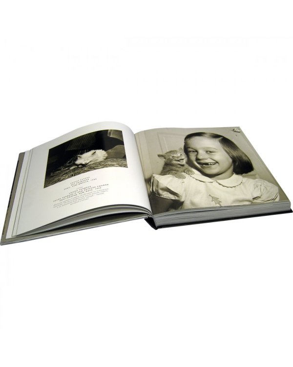 Большая книга кошек