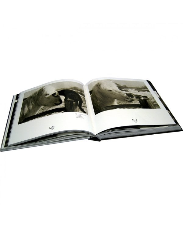 Большая книга кошек