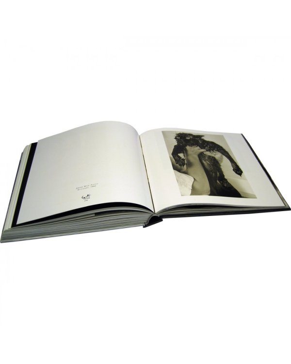 Большая книга кошек