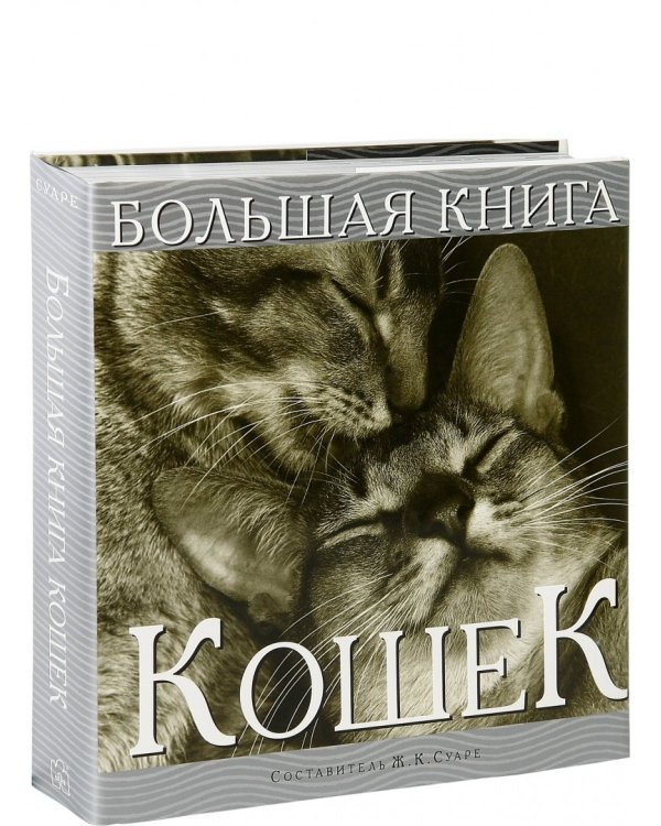 Большая книга кошек