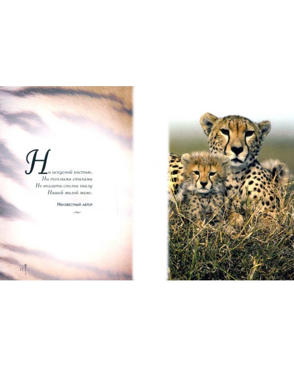 Мама, я люблю тебя