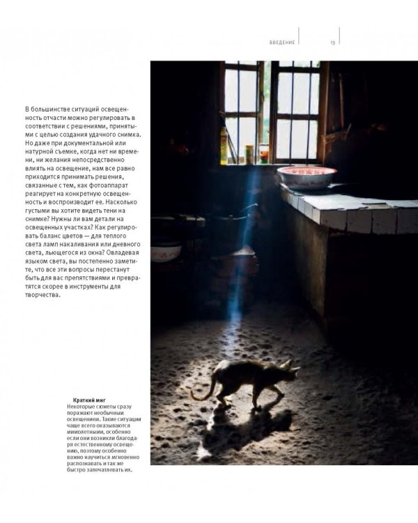 Школа фотографии Майкла Фримана. Свет и освещение