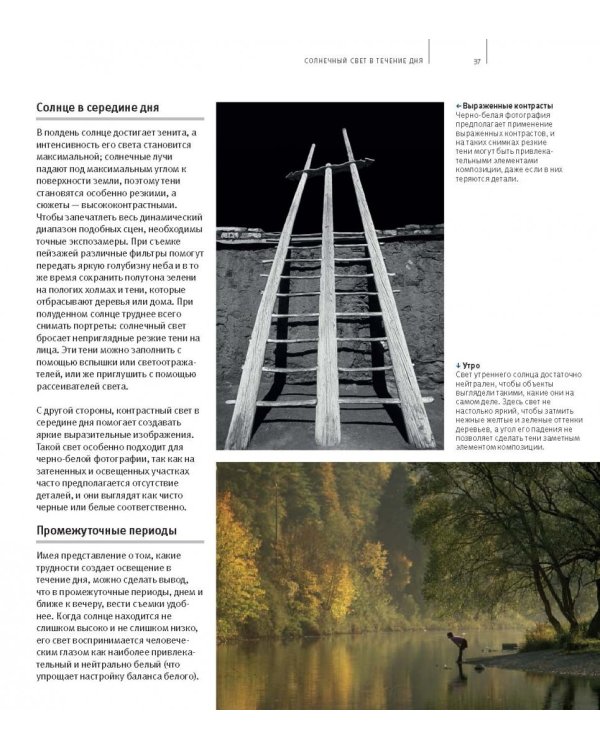 Школа фотографии Майкла Фримана. Свет и освещение