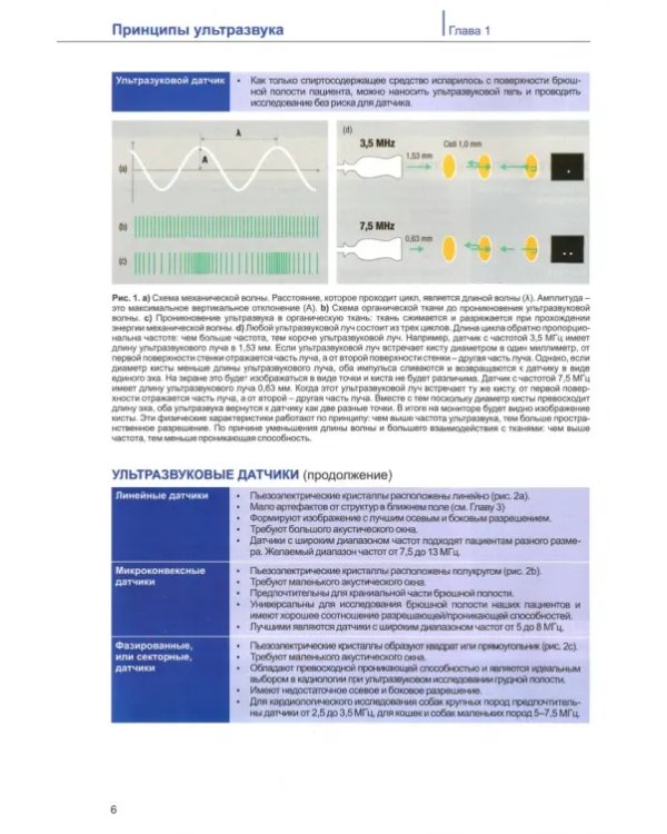 Руководство по ветеринарной клинической ультрасонаграфии