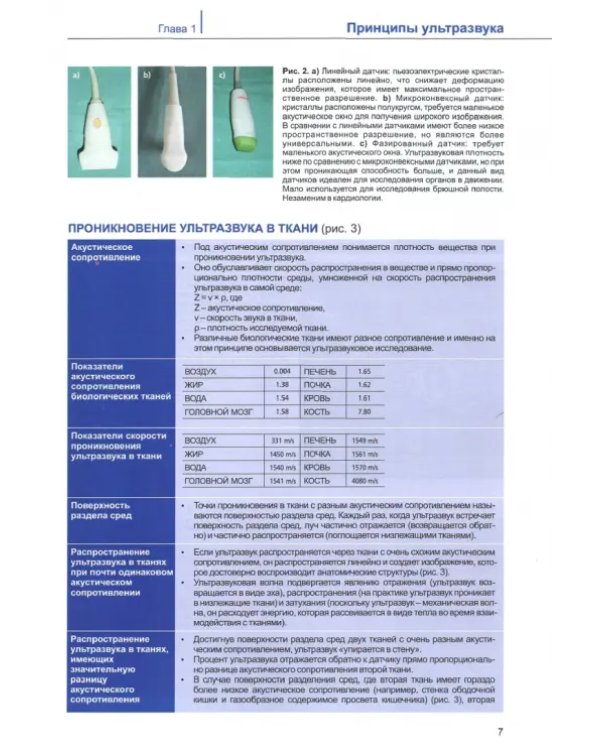 Руководство по ветеринарной клинической ультрасонаграфии