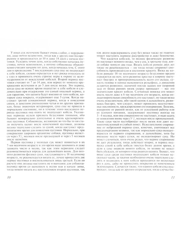 Дрессировка и натаска подружейной легавой