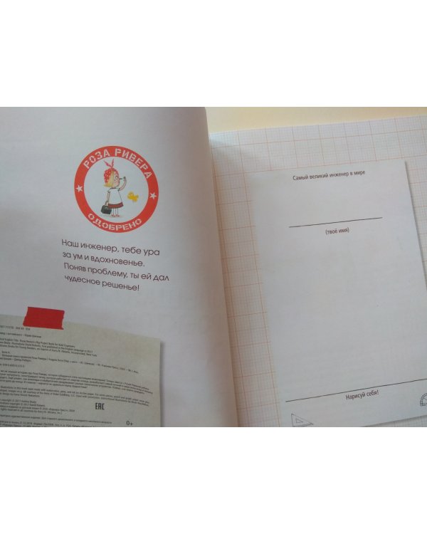 Большая книга проектов Розы Риверы