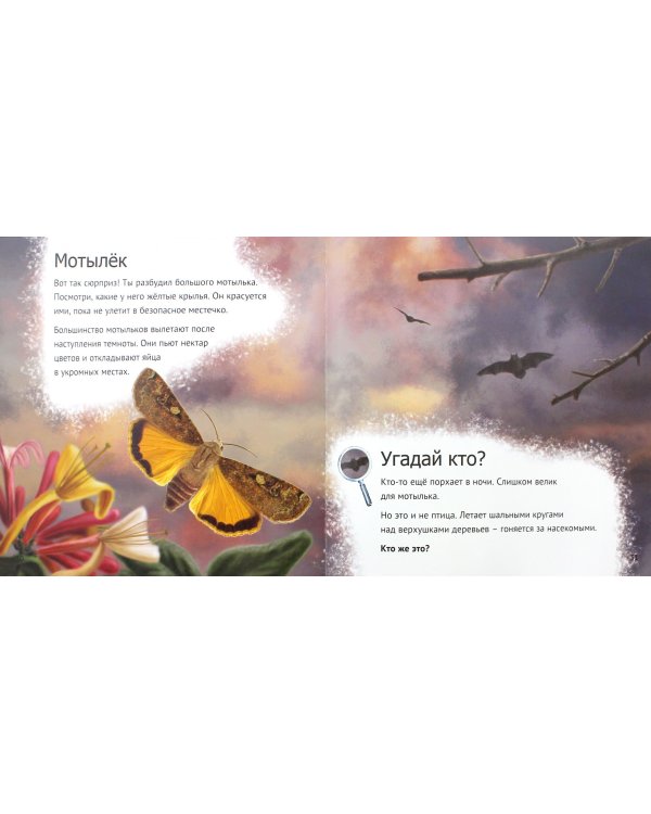 Кто живет у нас на даче. От мала до велика