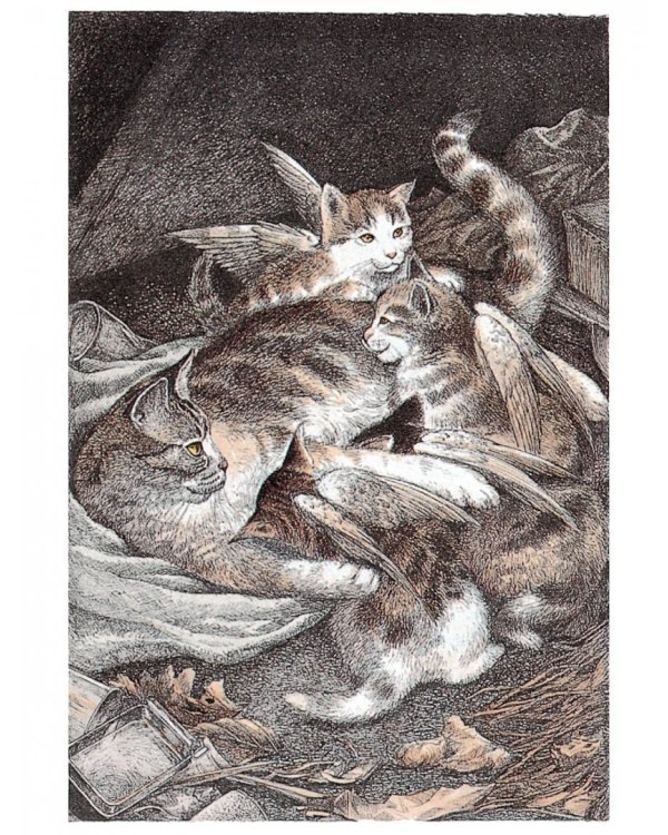 Крылатые кошки