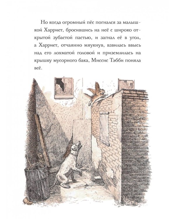 Крылатые кошки