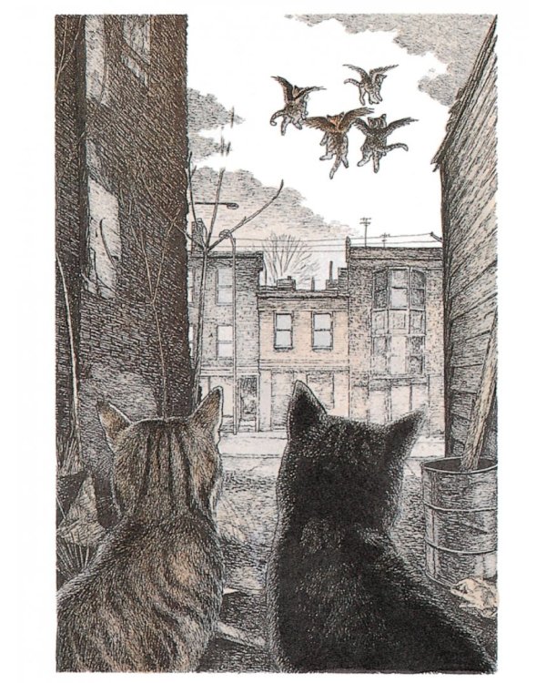 Крылатые кошки