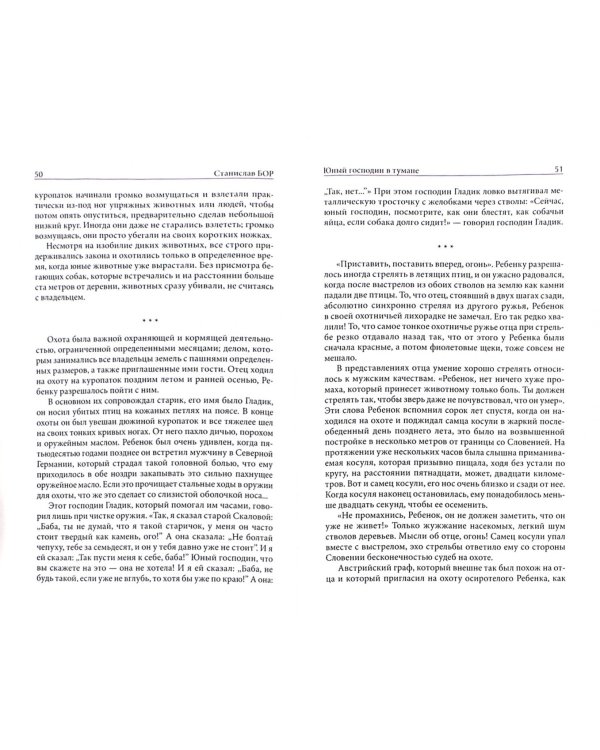 Юный господин в тумане