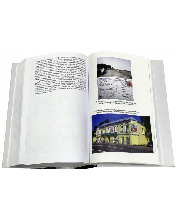 Поэт на войне. Николай Гумилев 1914-1918