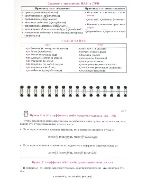 Русский язык на ладони. Самые главные орфограммы