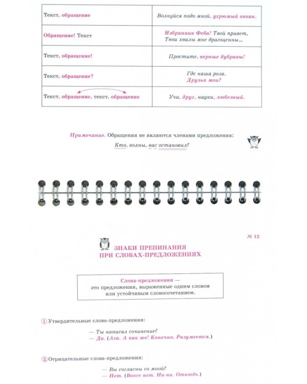 Русский язык на ладони. Самые главные пунктограммы