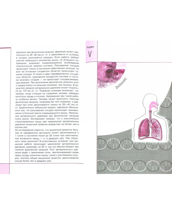 Анатомия, физиология и гигиена человека. Вопросы и ответы. Учебное пособие. ФГОС