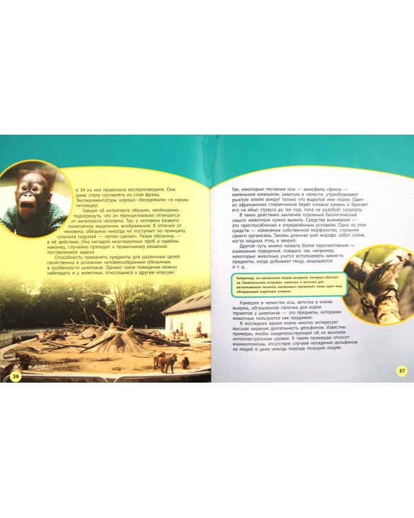 Способности и возможности