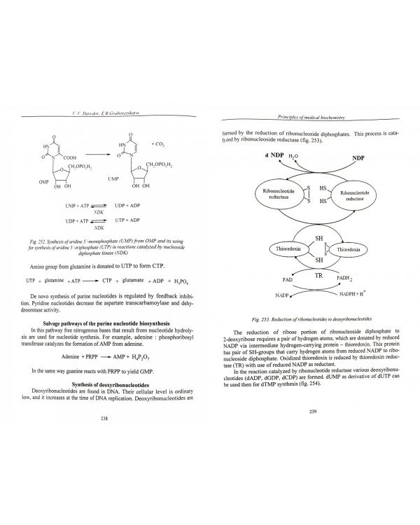 Основы медицинской биохимии. Principles of medical biochemistry