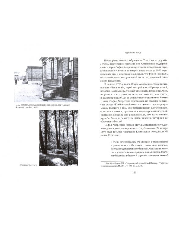 Жизнь Льва Толстого. Опыт прочтения