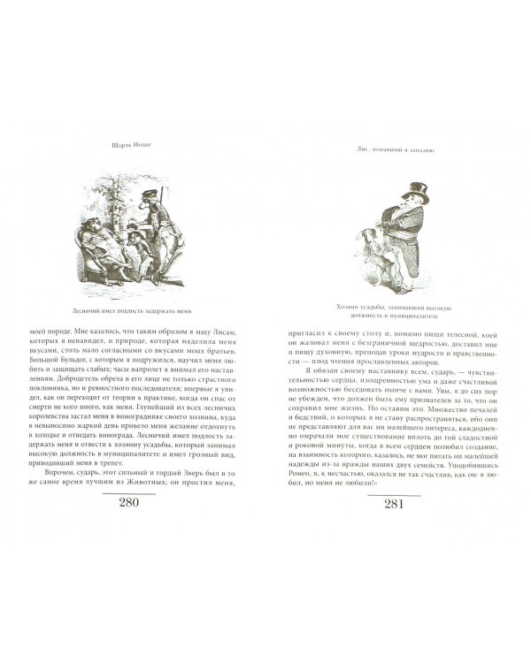 Сцены частной и общественной жизни животных