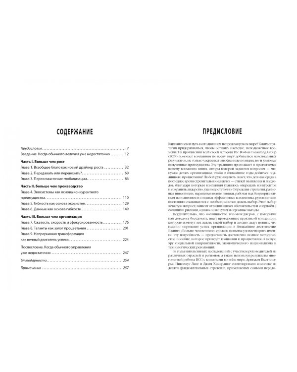 Больше, чем великие. Девять стратегий, которые помогут добиться процветания