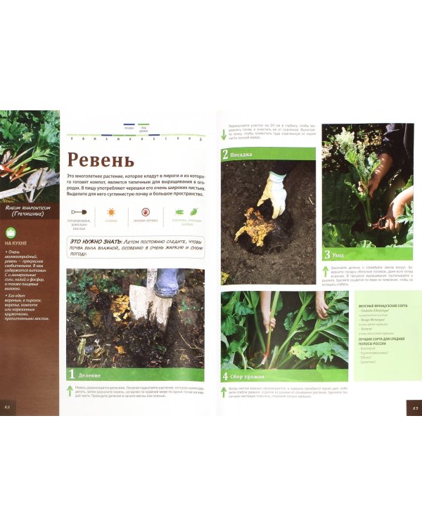 Ваш огород в иллюстрациях шаг за шагом. Овощи. Пряные травы