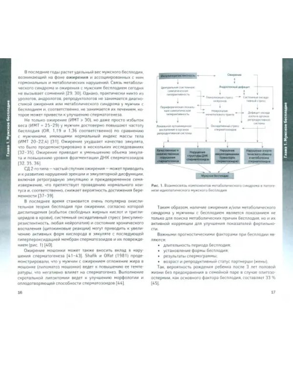 Мужское бесплодие. State Of Art