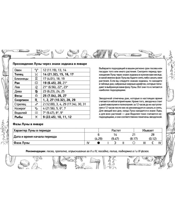 Дневник садовода-огородника на 3 года. 2019–2021