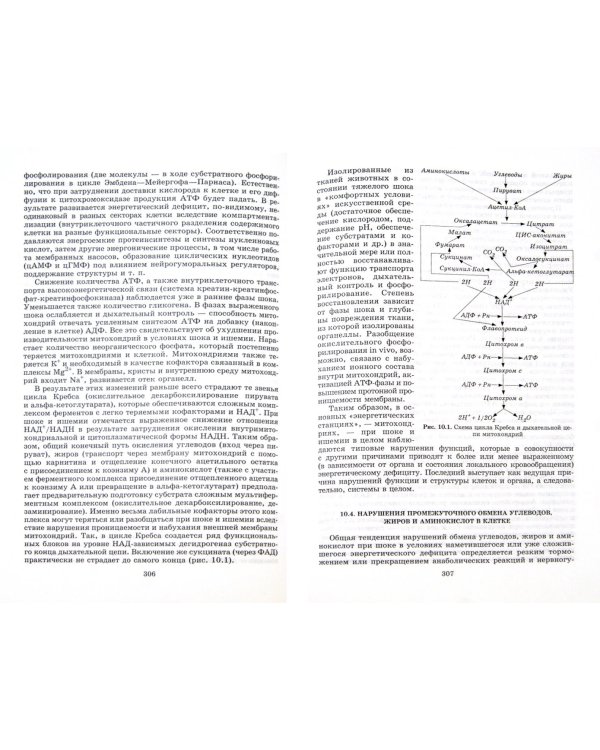 Шок. Теория, клиника, организация противошоковой помощи