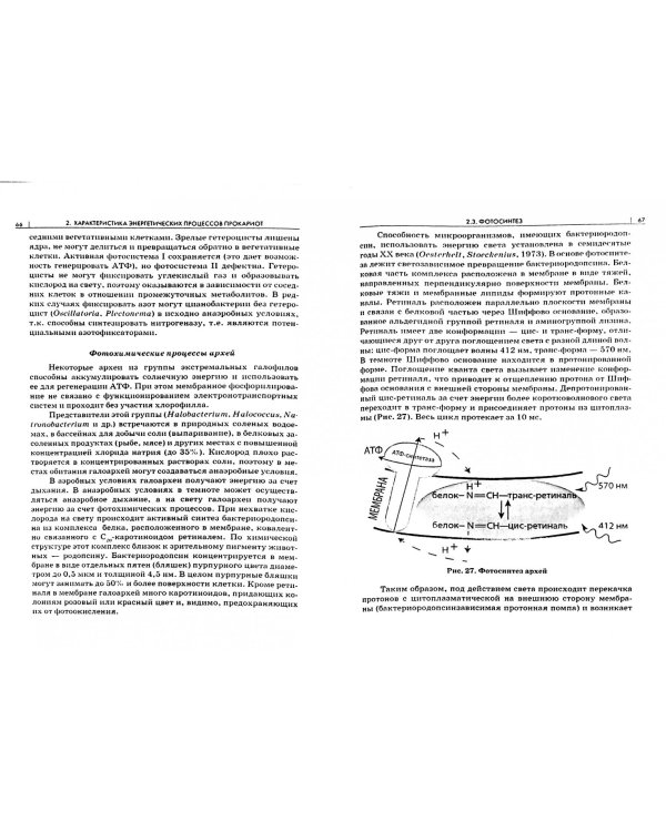 Микробиология. Часть 2. Метаболизм прокариот. Учебное пособие