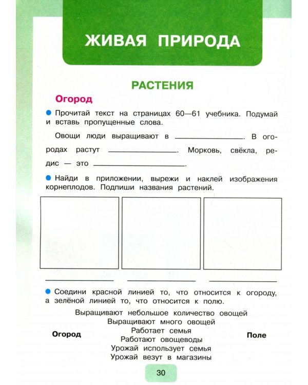 Мир природы и человека. 4 класс. Рабочая тетрадь. Адаптированные программы. ФГОС ОВЗ