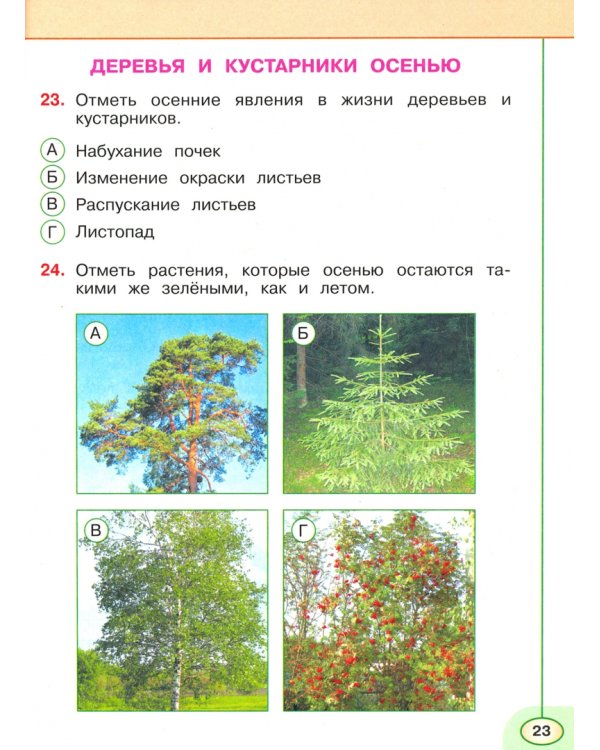 Окружающий мир. 2 класс. Тесты. ФГОС