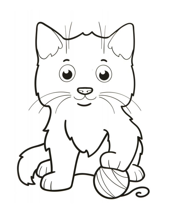 Животный мир