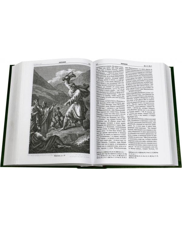 Библия с гравюрами XVIII и XIX веков. Книги Священного Писания Ветхого и Нового Завета