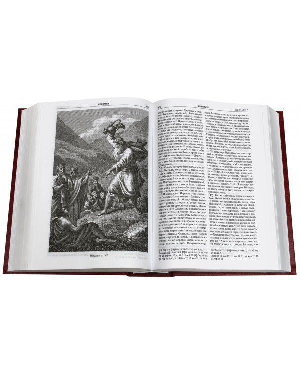 Библия с гравюрами XVIII и XIX веков. Книги Священного Писания Ветхого и Нового Завета
