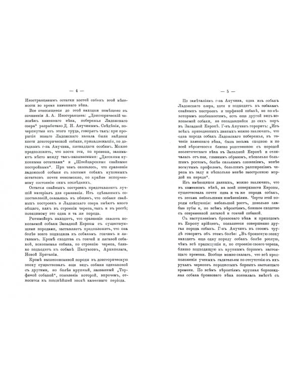 История Борзых собак