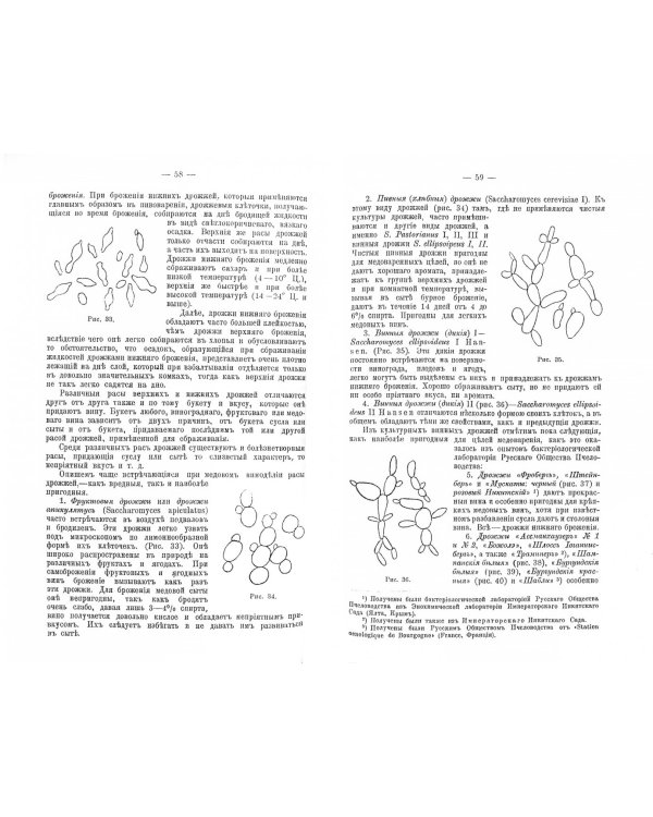 Медовое плодовое и ягодное виноделие как доходная