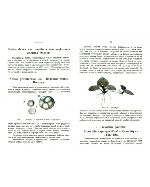 Новые аквариумные рыбы и растения, новости по уходу и содержанию аквариума