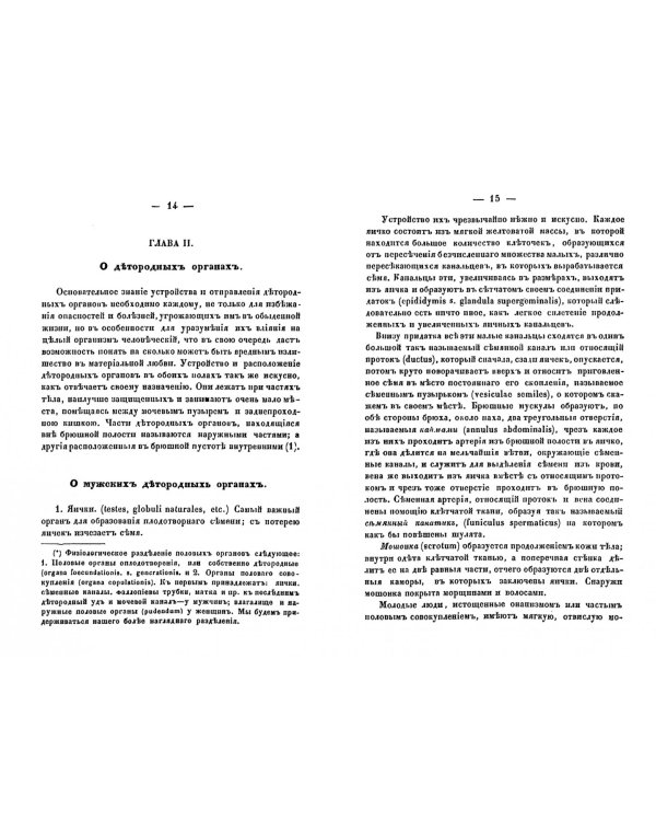 Секретные наставления мужчинам