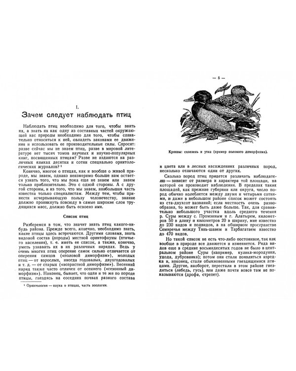 Что и как наблюдать в жизни птиц