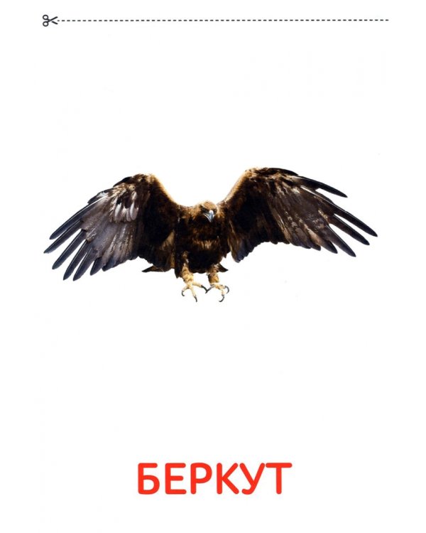 Карточки Домана. Узнаём мир. Набор из 8 книг