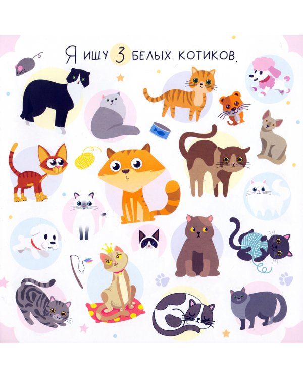 Я ищу. Для девочек. Виммельбух