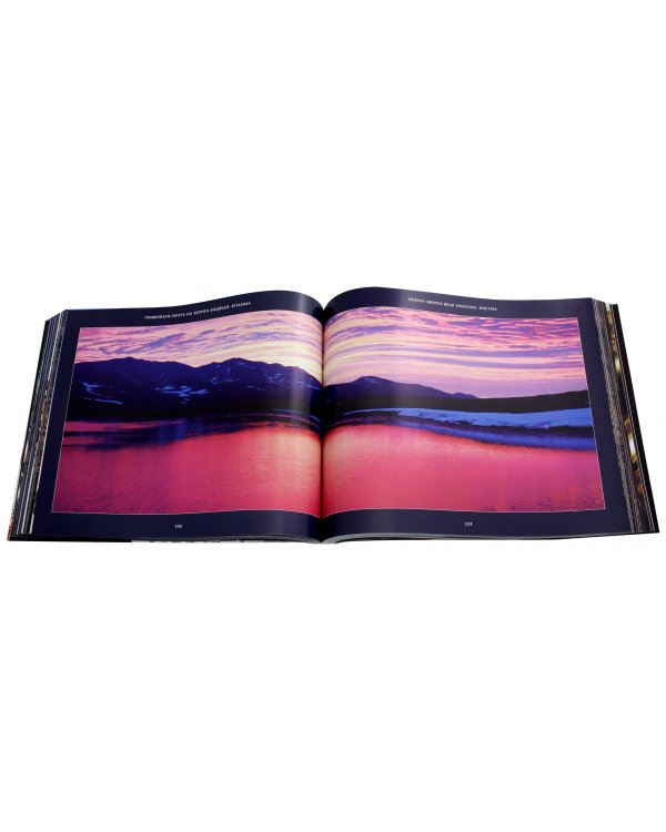 Трофейная охота на бурого медведя. Колыма