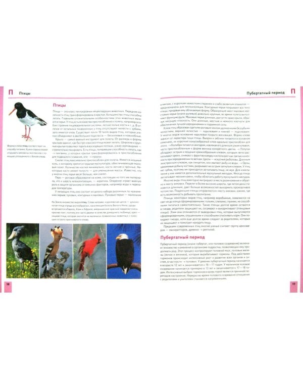 Brockhaus. Большая детская иллюстрированная энциклопедия. П-С