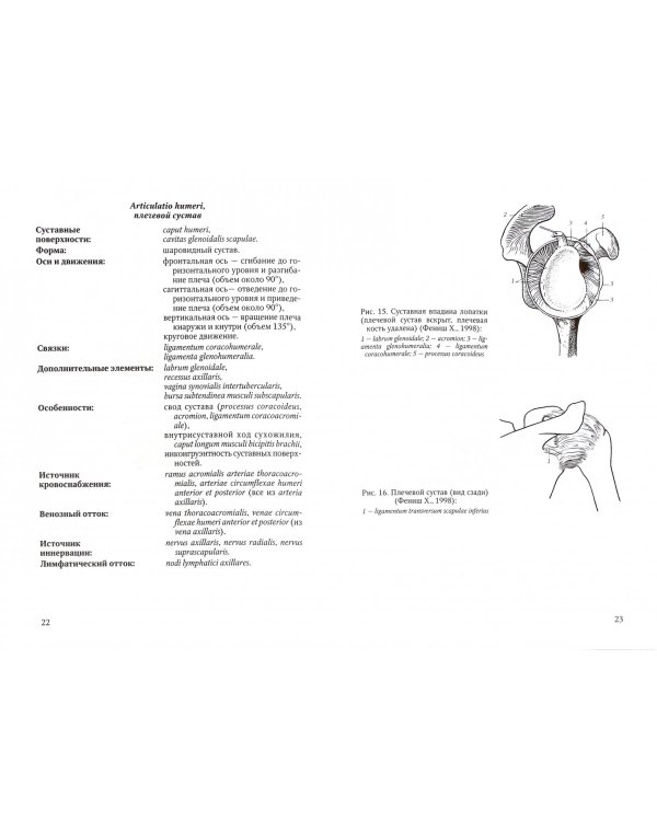 Артрология. Учебное пособие