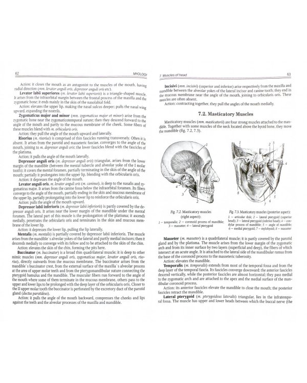 Миология. Учебное пособие для медицинских вузов