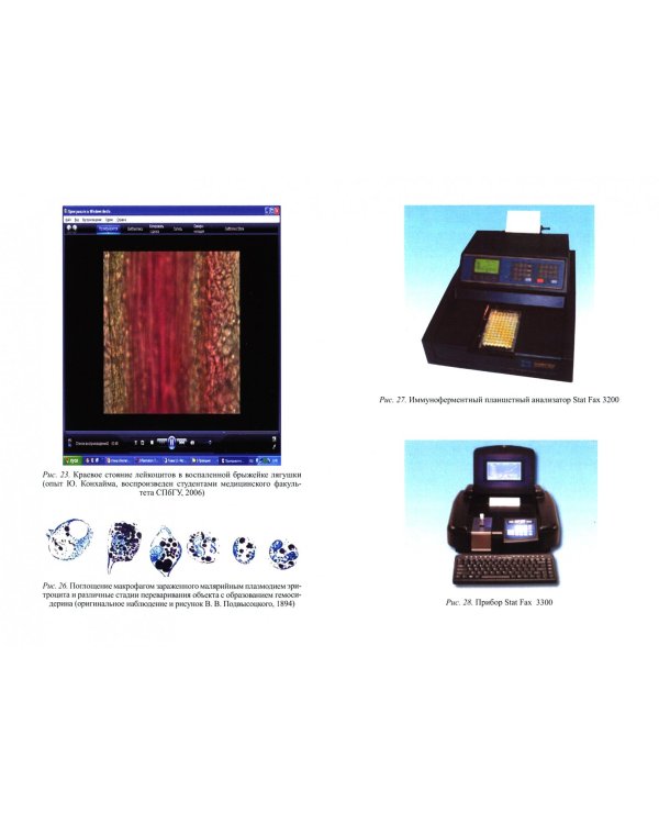 Практикум по экспериментальной и клинической патологии. Учебно-методическое пособие