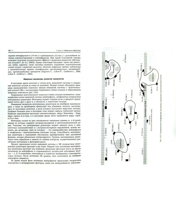 Нефрология. Том 1. Заболевания почек